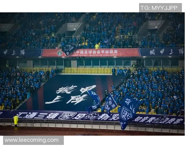 武汉网球队战术引发热议球迷与专家各执己见探讨未来发展方向