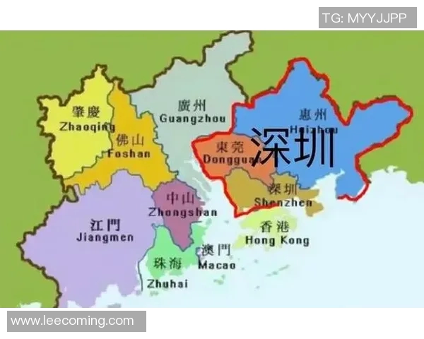 深圳排球队全运会精彩表现解析团队协作的重要性与未来发展方向